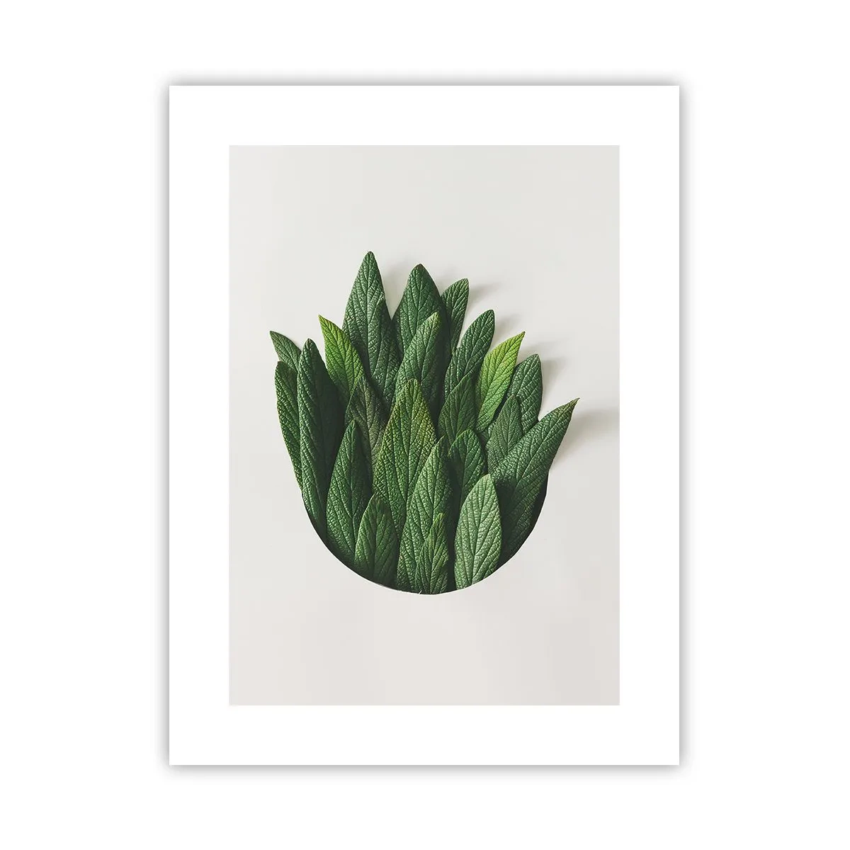 Plakat - Nieposkromiona ciekawość - 30x40 cm