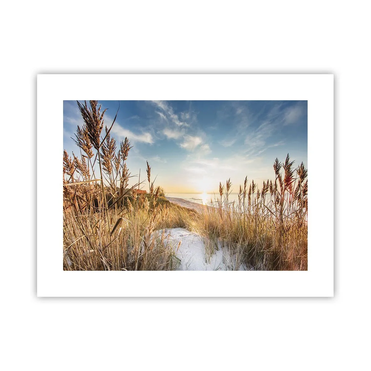 Plakat - Północna plaża - 40x30 cm