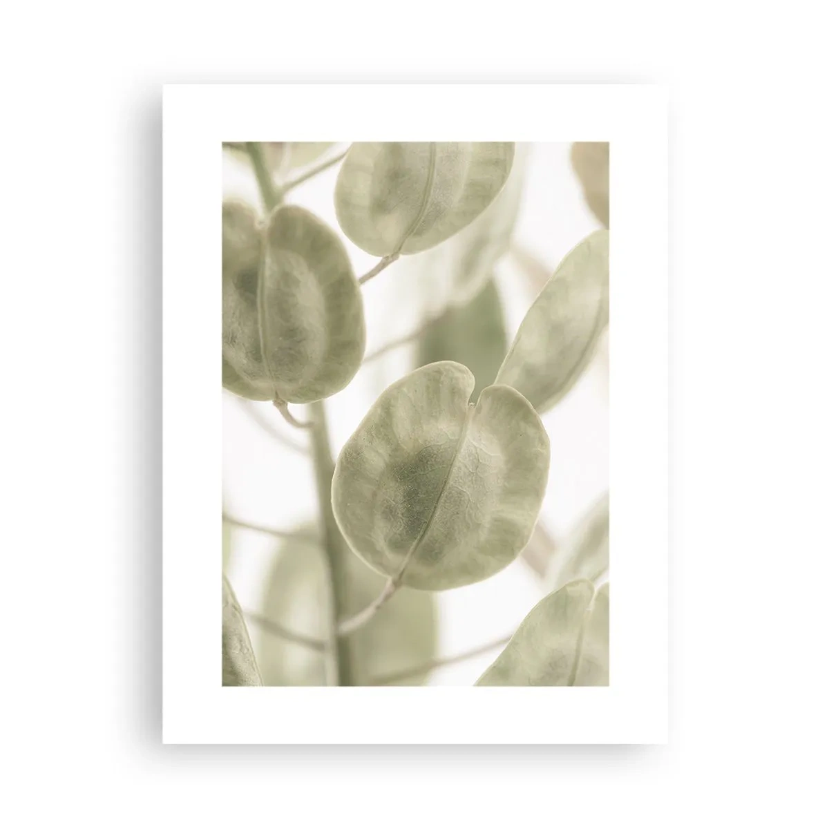 Plakat - Na początku były listki… - 30x40 cm