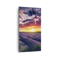 65x120 cm | Pionowy