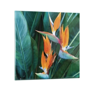 Obraz na szkle - Czy to kwiat, czy to ptak? - 70x70 cm
