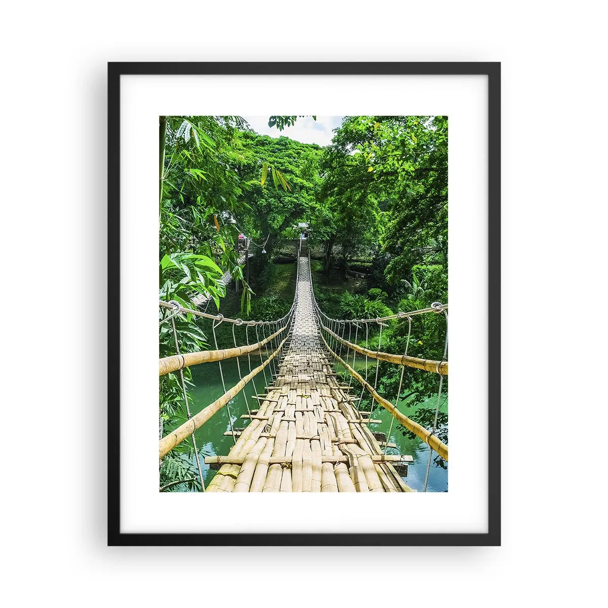 Plakat w czarnej ramie - Małpi most nad zielenią - 40x50 cm
