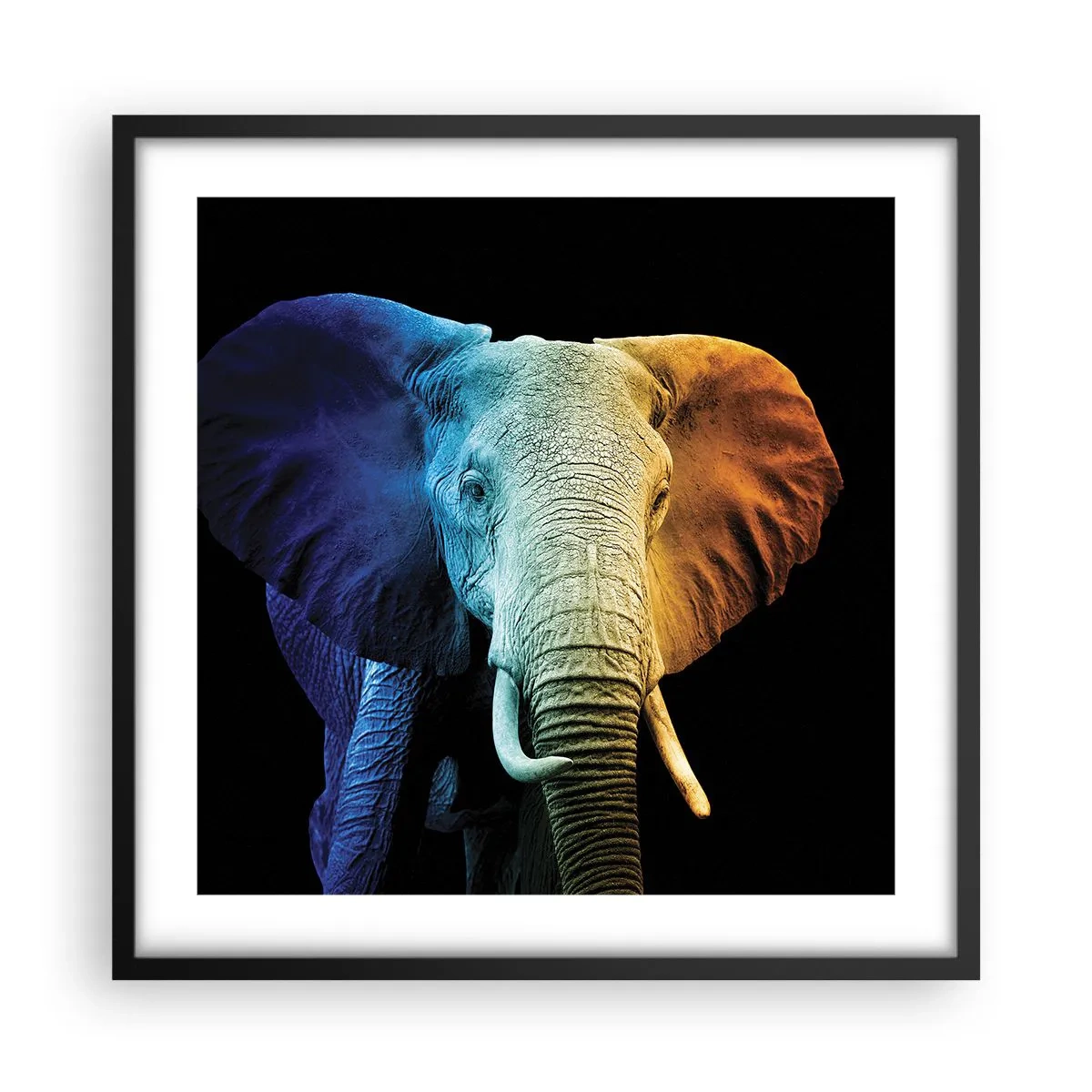 Plakat w czarnej ramie - Ekscentryk, nie dziwak - 50x50 cm