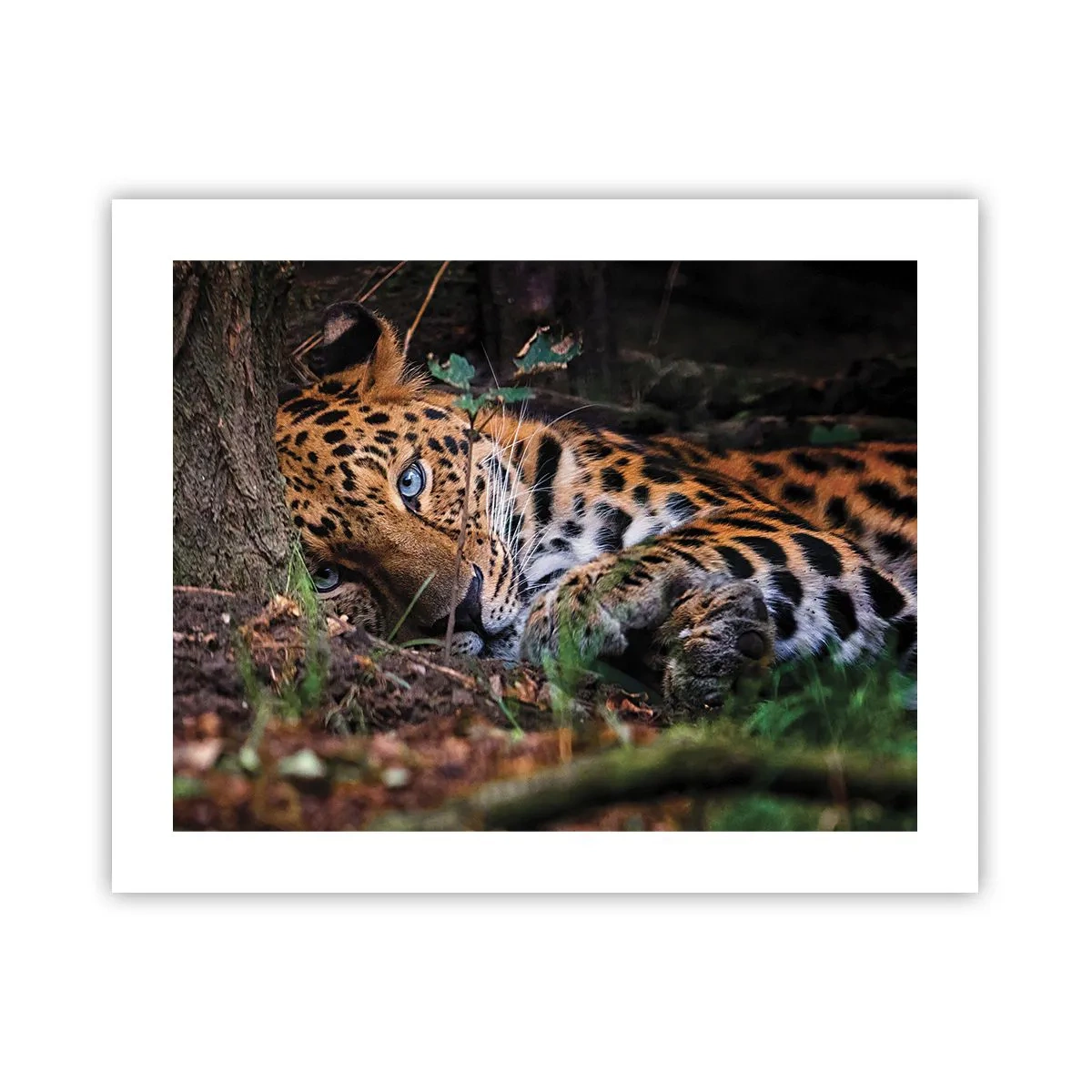 Plakat - Zaufaj mi - 50x40 cm