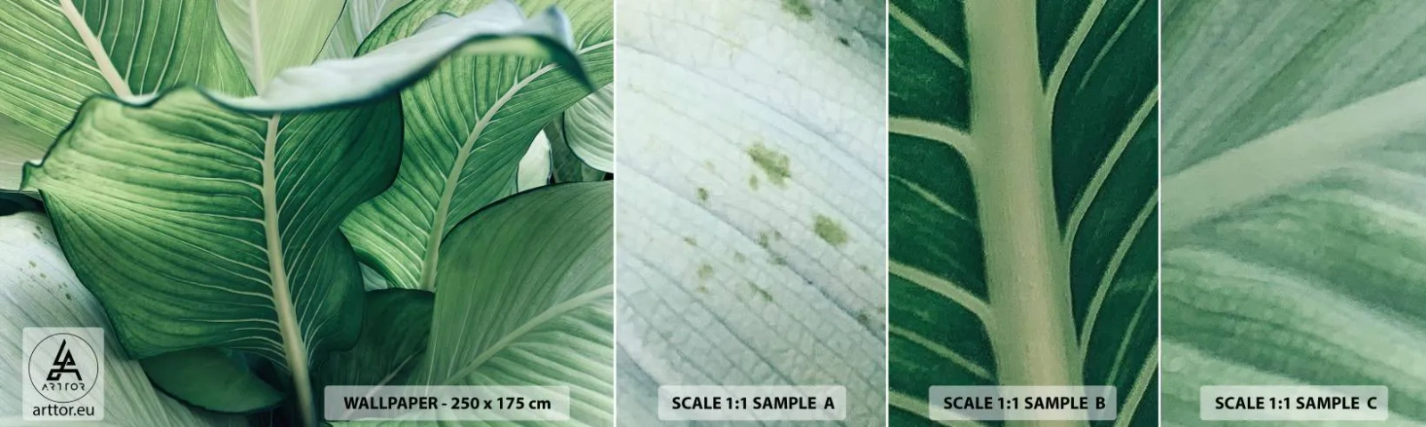 Fototapeta Próbka Standard Eco - Życie intensywnie zielone - Liście, Egzotyczny, Botaniczny - 100x30 cm