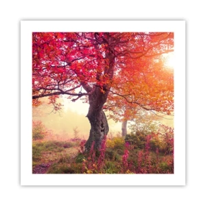 Plakat - Szał rozkwitu - 50x50 cm