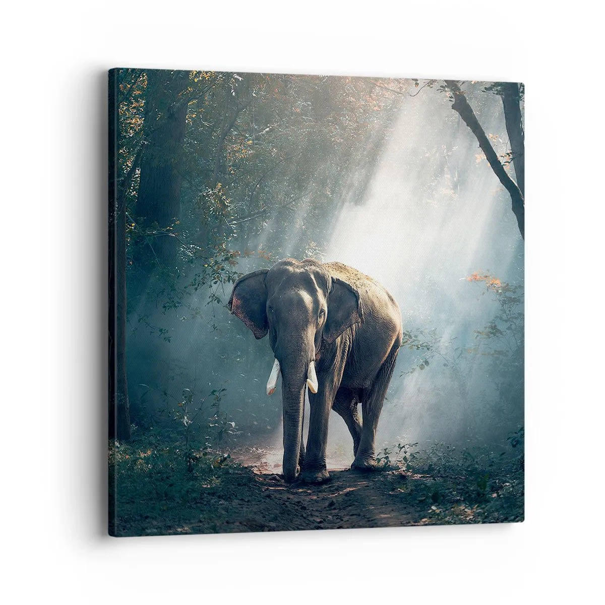 Obraz na płótnie - Spokojna przechadzka - 40x40 cm