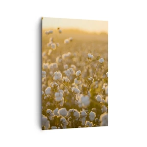 Obraz na płótnie - Pole bawełny w ciepłym świetle zachodzącego słońca - 80x120cm - Puszyste pole - Nowoczesna dekoracja ścienna do salonu i sypialni ARTTOR