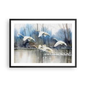 Plakat w czarnej ramie - Łabędzie w locie nad zamarzniętym jeziorem w zimowym krajobrazie - 70x50cm - Jak w baśni o dzikich łabędziach - Nowoczesna dekoracja ścienna do salonu i sypialni ARTTOR