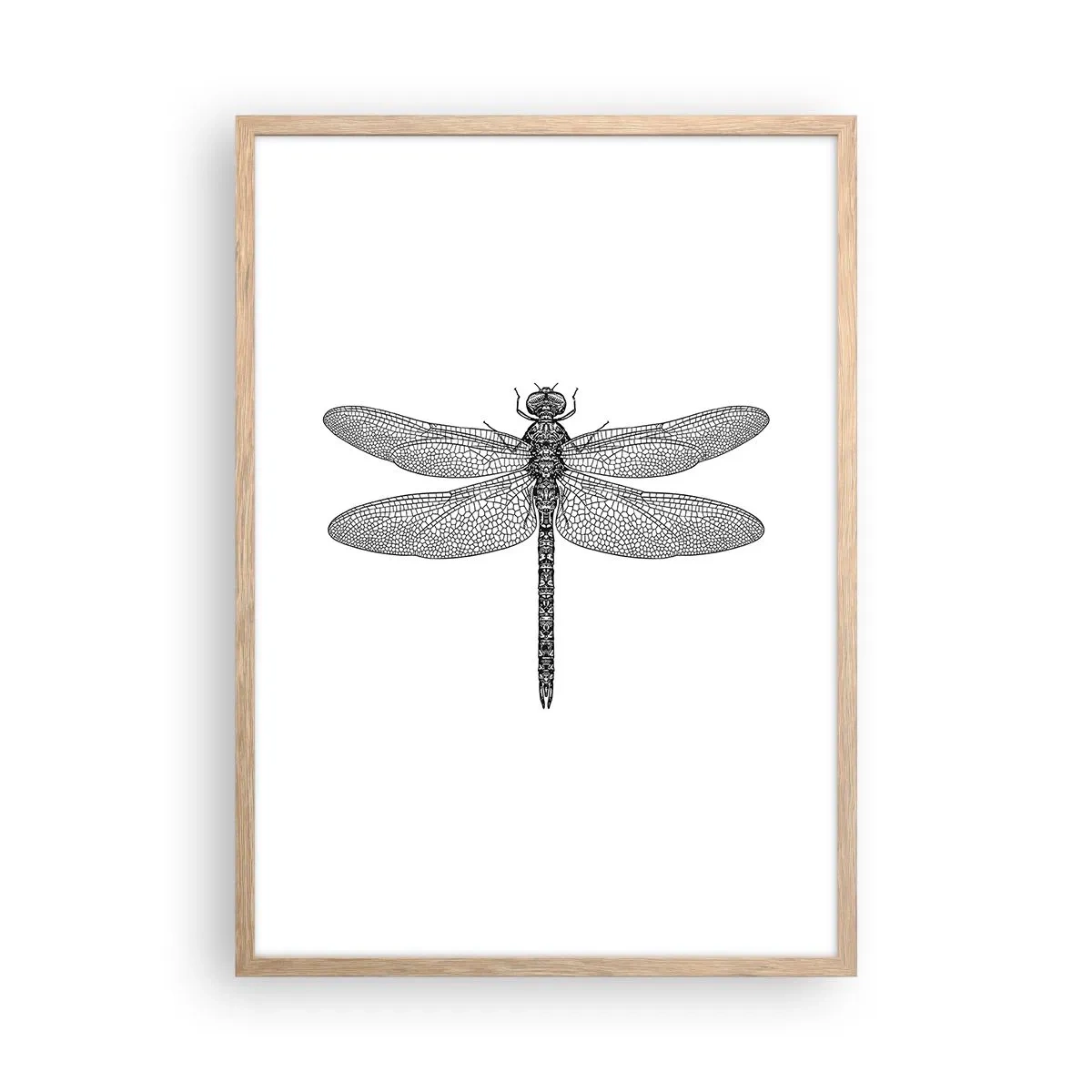 Plakat w ramie jasny dąb - Precyzja natury - 50x70 cm
