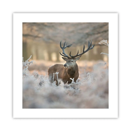 Plakat - Rześki poranek - 40x40 cm