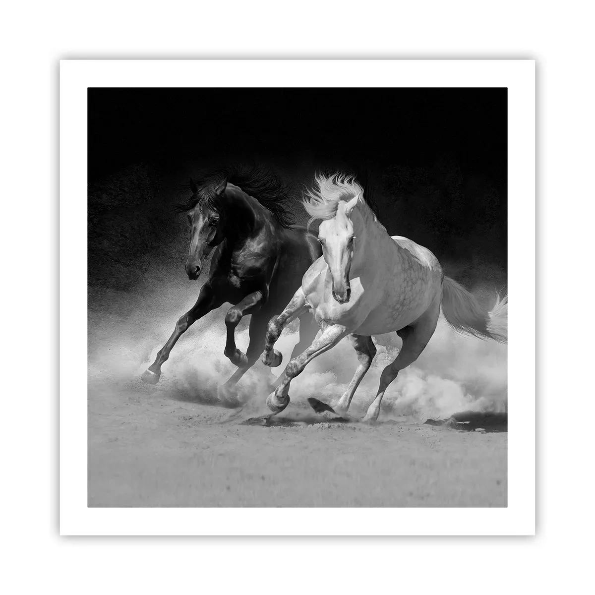Plakat - Galop wolności - 60x60 cm