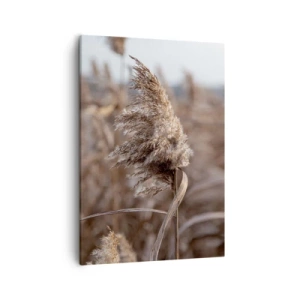 Obraz na płótnie - Zbliżenie na pojedynczą trzcinę na tle pola suchych traw - 50x70cm - Czas odlecieć z wiatrem - Nowoczesna dekoracja ścienna do salonu, kuchni i sypialni ARTTOR