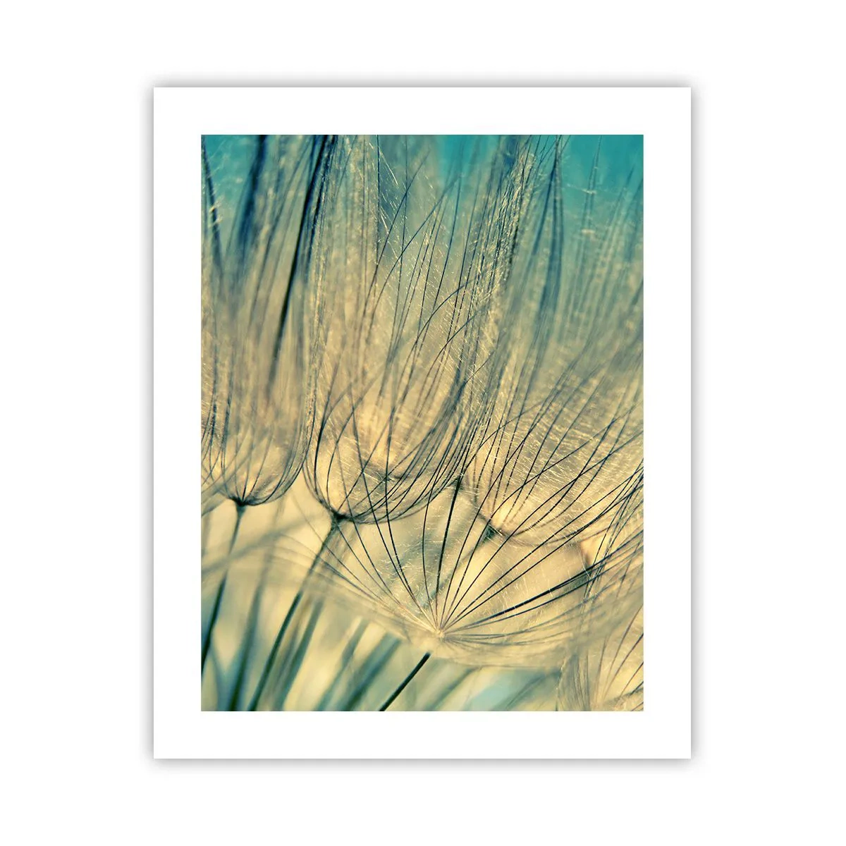 Plakat - W oczekiwaniu na wiatr - 40x50 cm