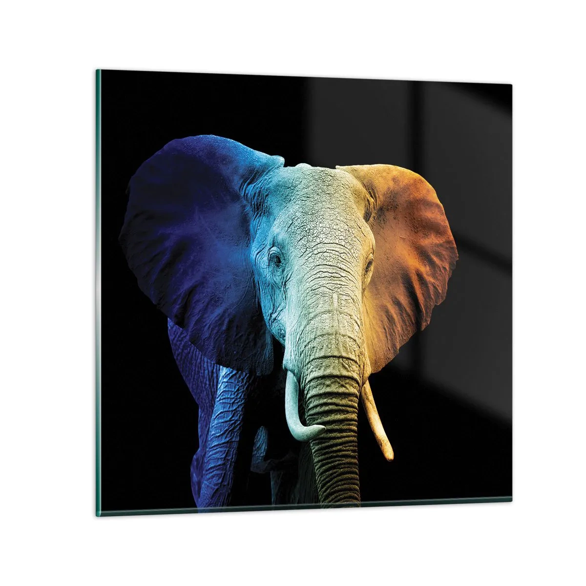 Obraz na szkle - Ekscentryk, nie dziwak - 70x70 cm