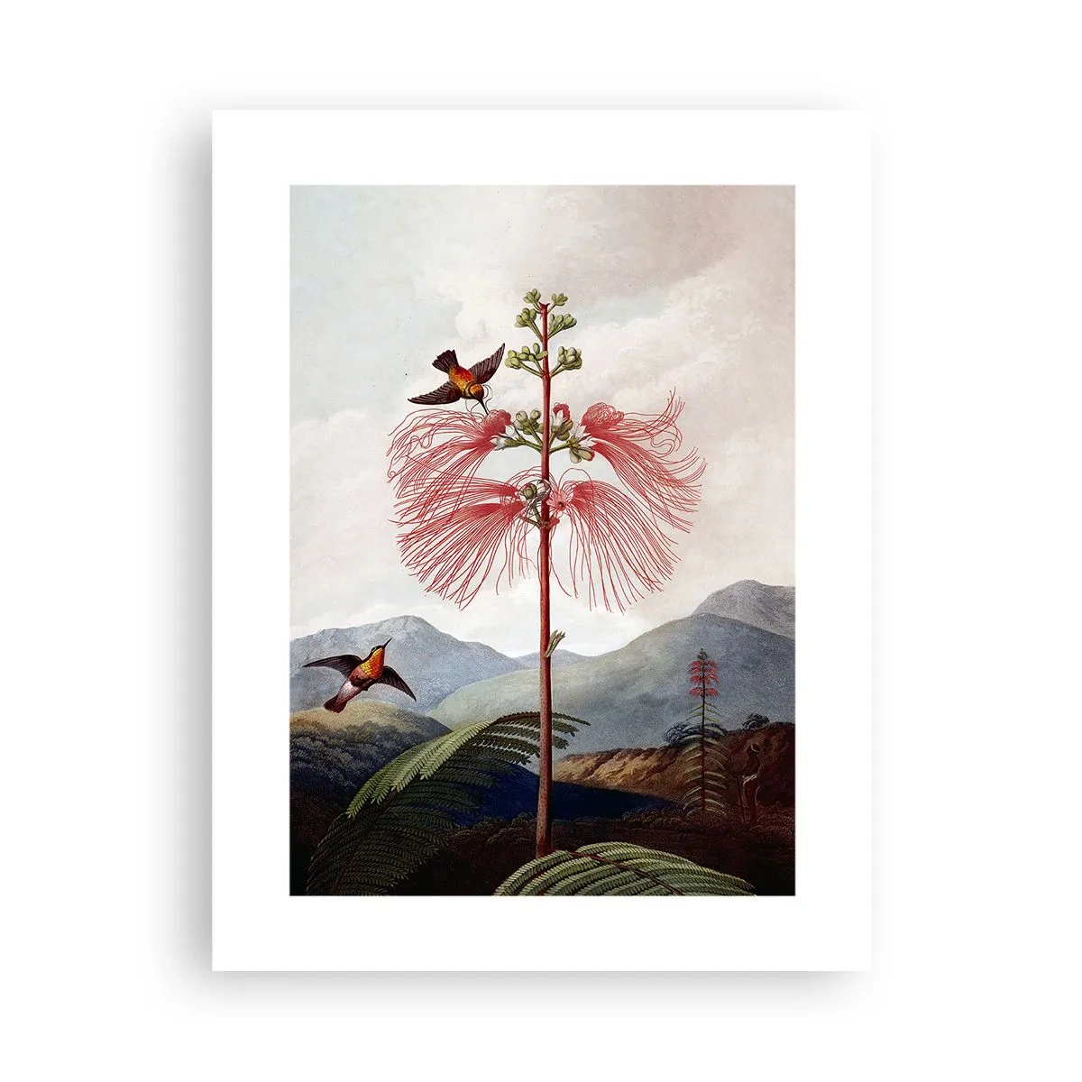 Plakat - W tropikalnym raju - 30x40 cm