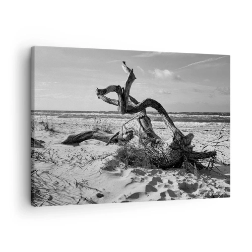 Obraz na płótnie - Czarno-biały krajobraz z martwym drzewem na plaży - 70x50cm - Morska rzeźba - Nowoczesna dekoracja ścienna do salonu i sypialni ARTTOR