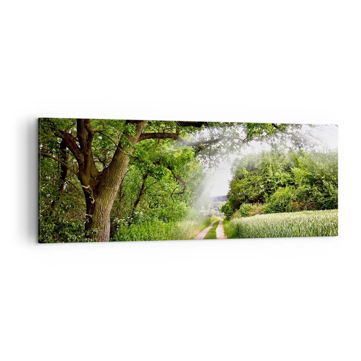 Obraz na płótnie - Polna droga wśród zielonych drzew i promieni słońca - 140x50cm - Et in Arcadia ego - Nowoczesna dekoracja ścienna do salonu i sypialni ARTTOR