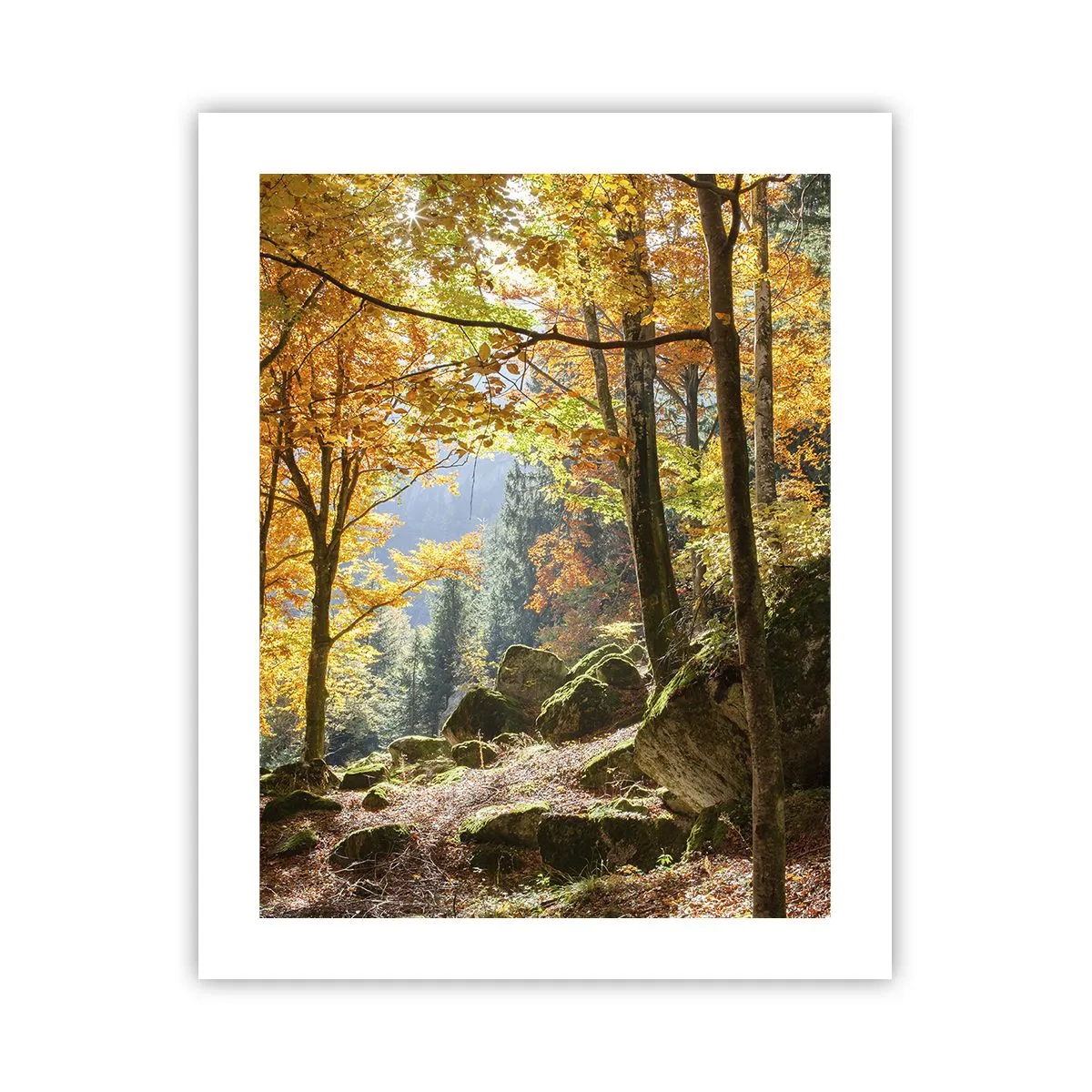 Plakat - Czas na odpoczynek - 40x50 cm