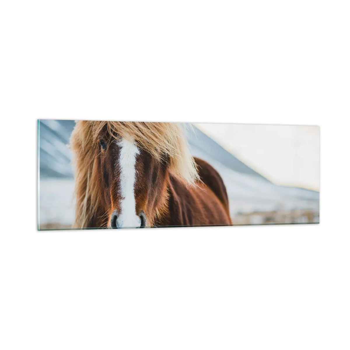 Obraz na szkle - Czujesz wolność? - 90x30 cm