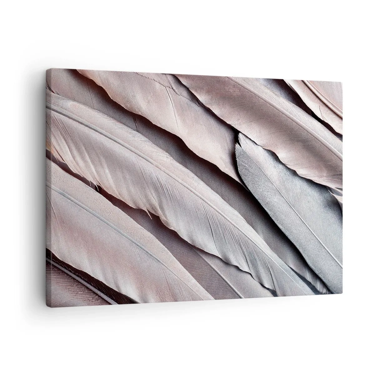 Obraz na płótnie - Delikatne pióra w subtelnych odcieniach szarości i beżu - 70x50cm - W różowej srebrzystości - Nowoczesna dekoracja ścienna do salonu i sypialni ARTTOR
