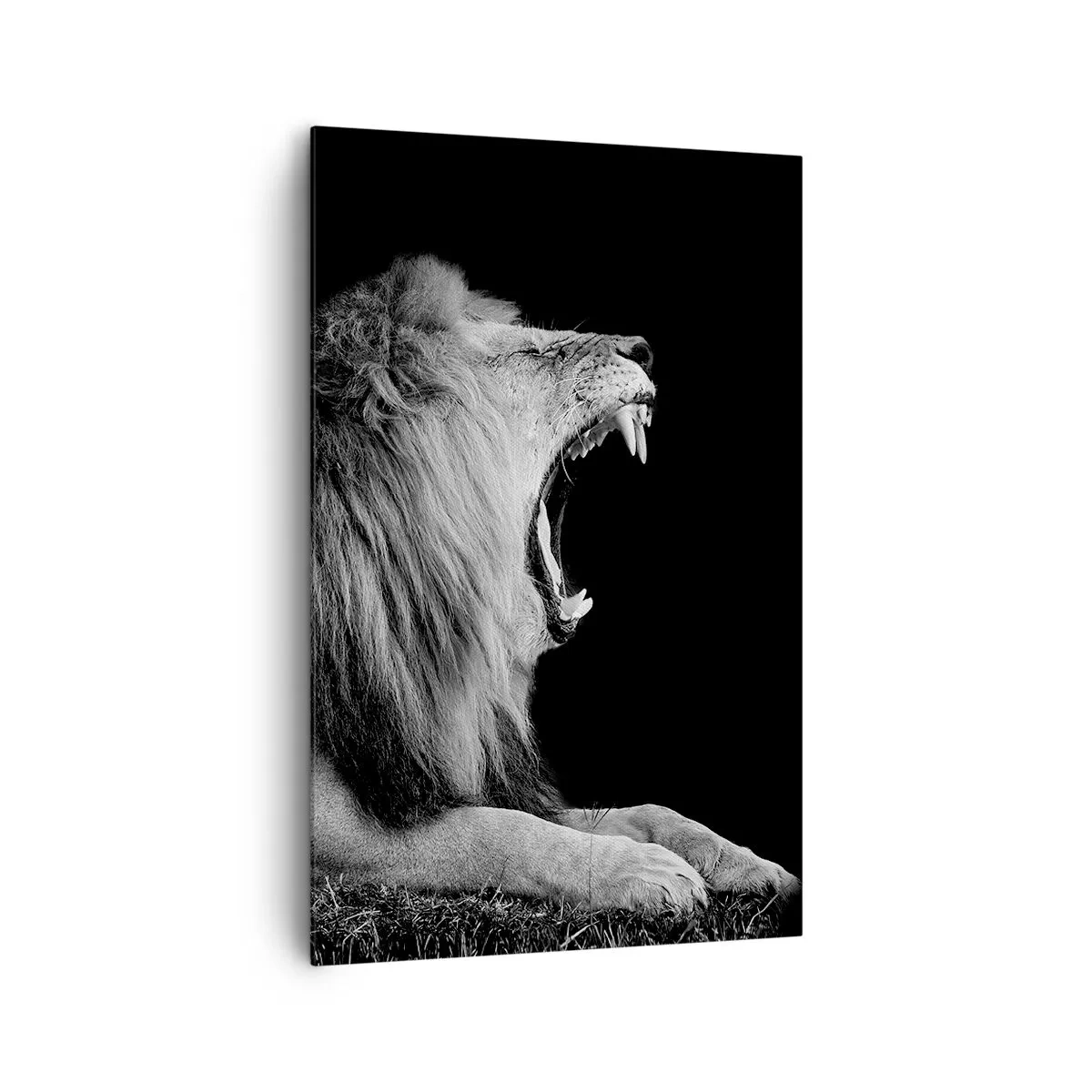 Obraz na płótnie - Ryczący lew na czarnym tle w czarno-białej tonacji - 80x120cm - Bez żadnych wątpliwości - Nowoczesna dekoracja ścienna do salonu i sypialni ARTTOR