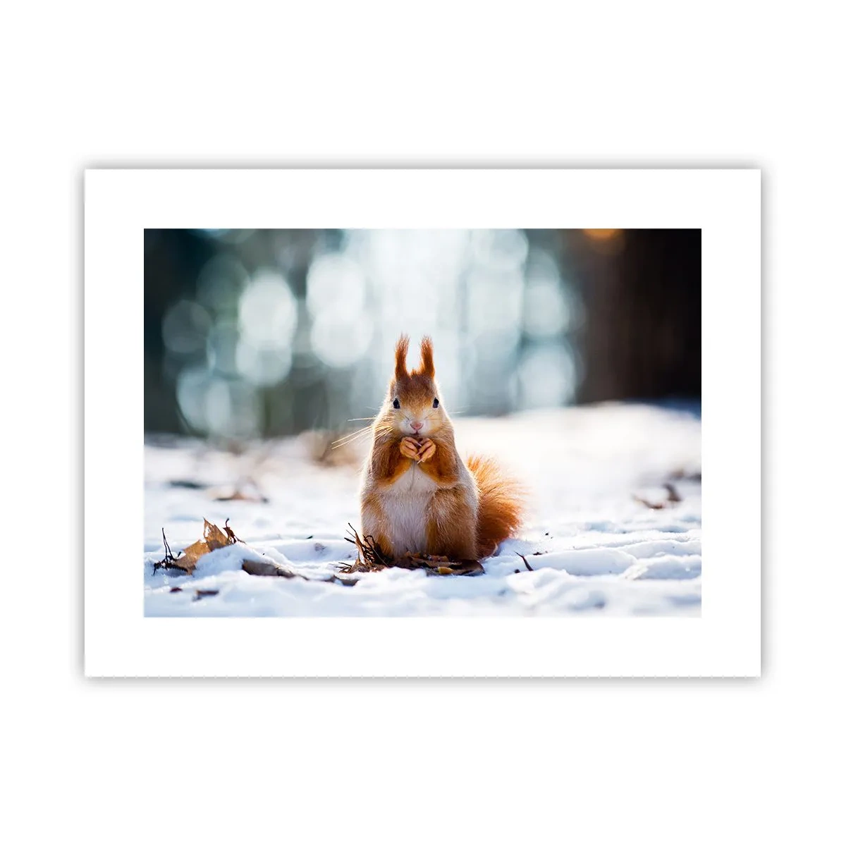 Plakat - I co tak patrzysz? - 40x30 cm