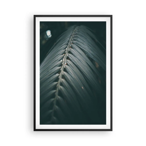 Plakat w czarnej ramie - Precyzja natury - 61x91 cm