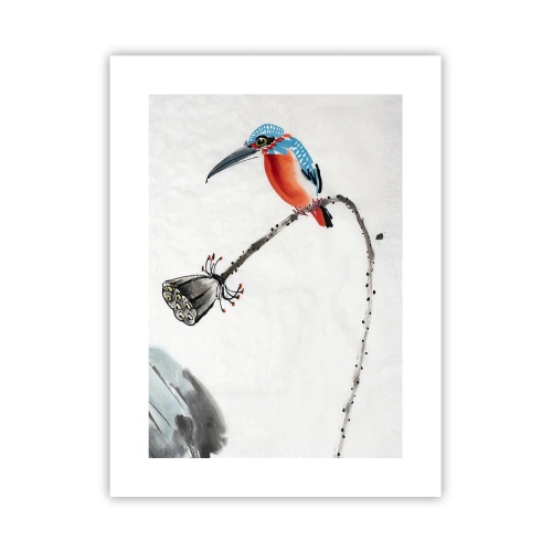 Plakat - Życie łąki - 30x40 cm