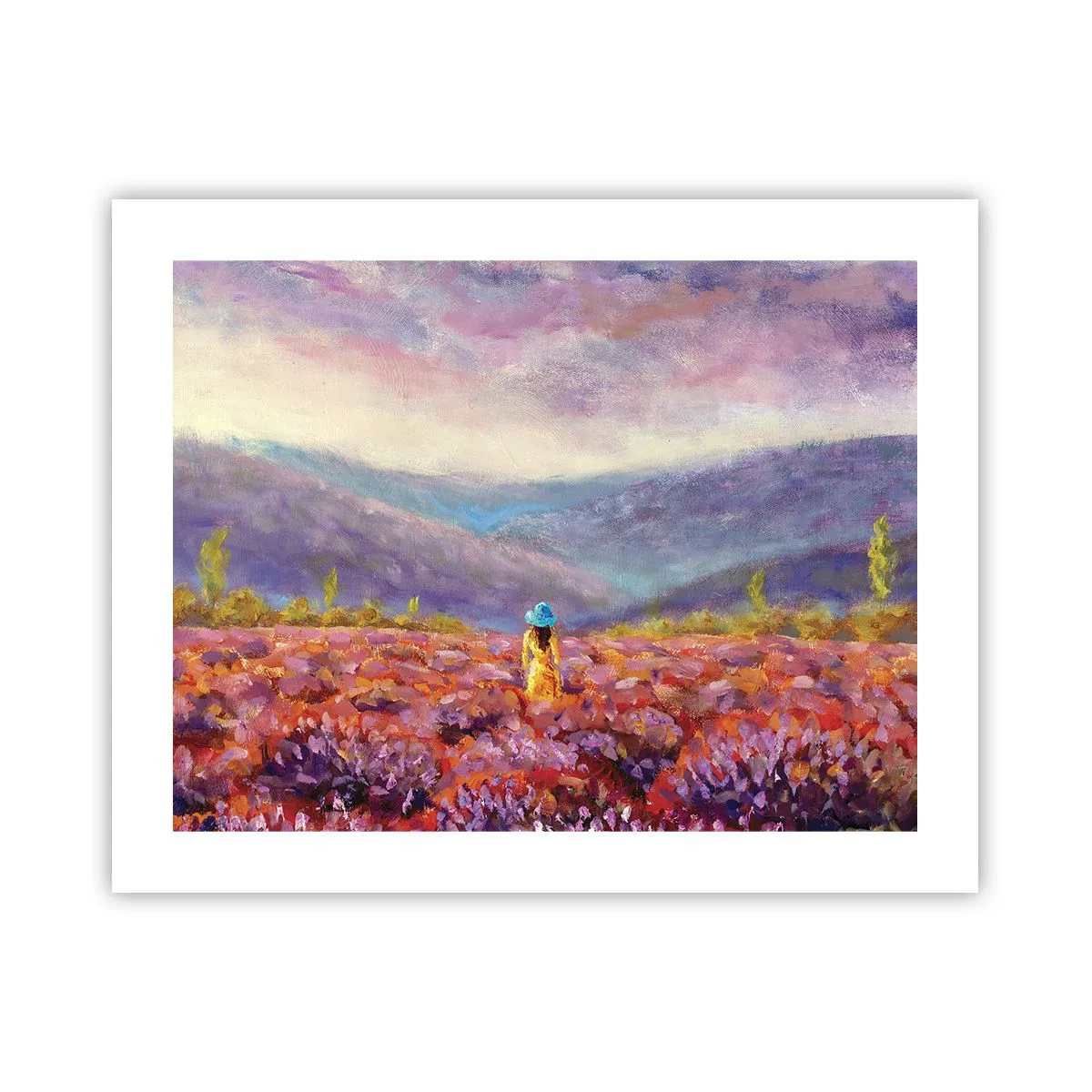 Plakat - W lawendowym świecie - 50x40 cm