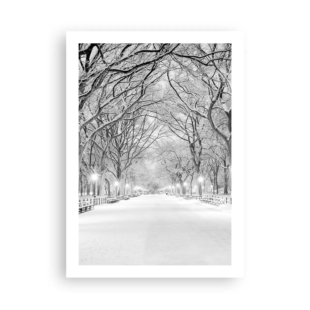 Plakat - Zimowa aleja drzew pokryta śniegiem w parku - 50x70cm - Cztery pory roku – zima - Nowoczesna dekoracja ścienna do salonu, kuchni i sypialni ARTTOR