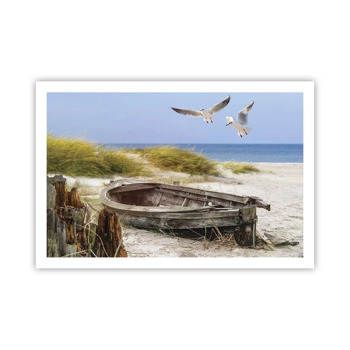 Plakat - Skąpane wiatrem - 91x61 cm