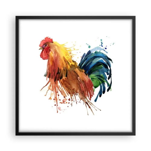 Plakat w czarnej ramie - Królewska szata, królewska duma - 50x50 cm