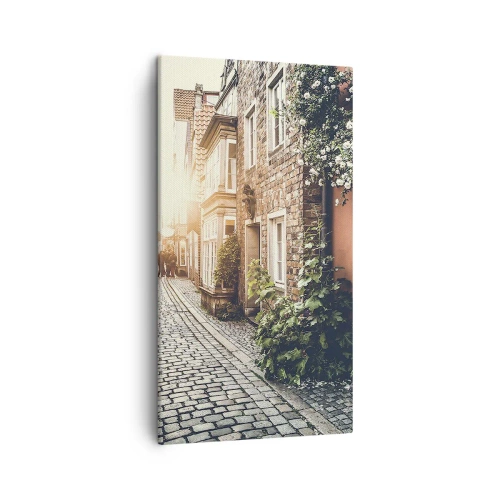 Obraz na płótnie - Różany zaułek w różowym blasku - 45x80 cm