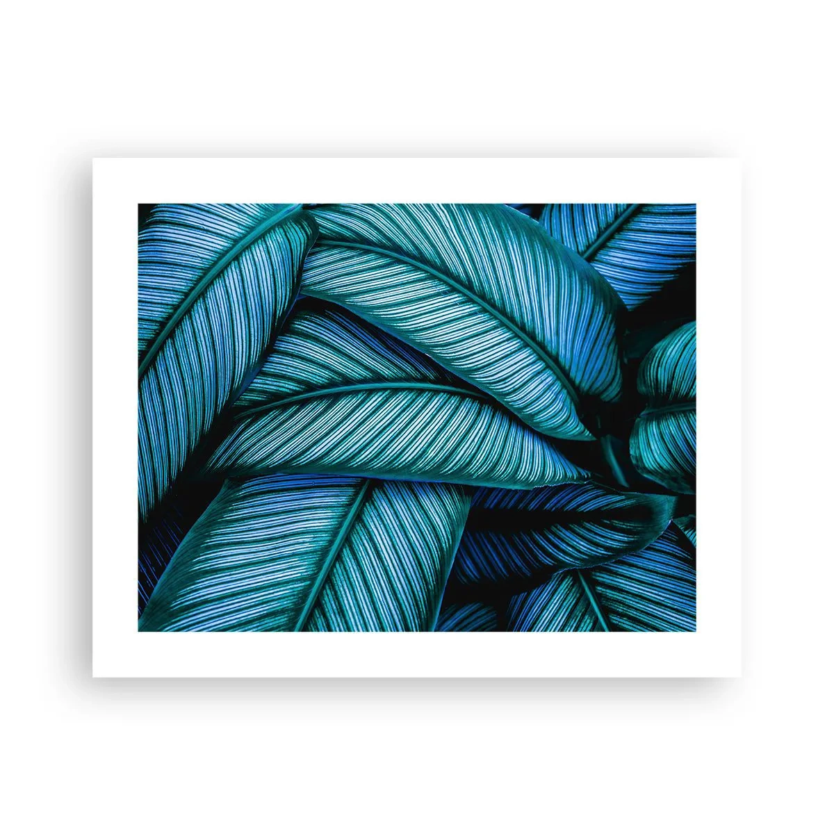 Plakat - Linie życia - 50x40 cm