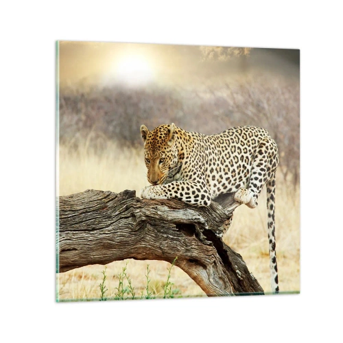 Obraz na szkle - Chadzam własnymi drogami - 50x50 cm