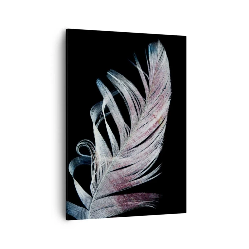 Obraz na płótnie - Delikatne pióro w pastelowych odcieniach na czarnym tle - 50x70cm - Pomyśl o dotyku - Nowoczesna dekoracja ścienna do salonu, kuchni i sypialni ARTTOR