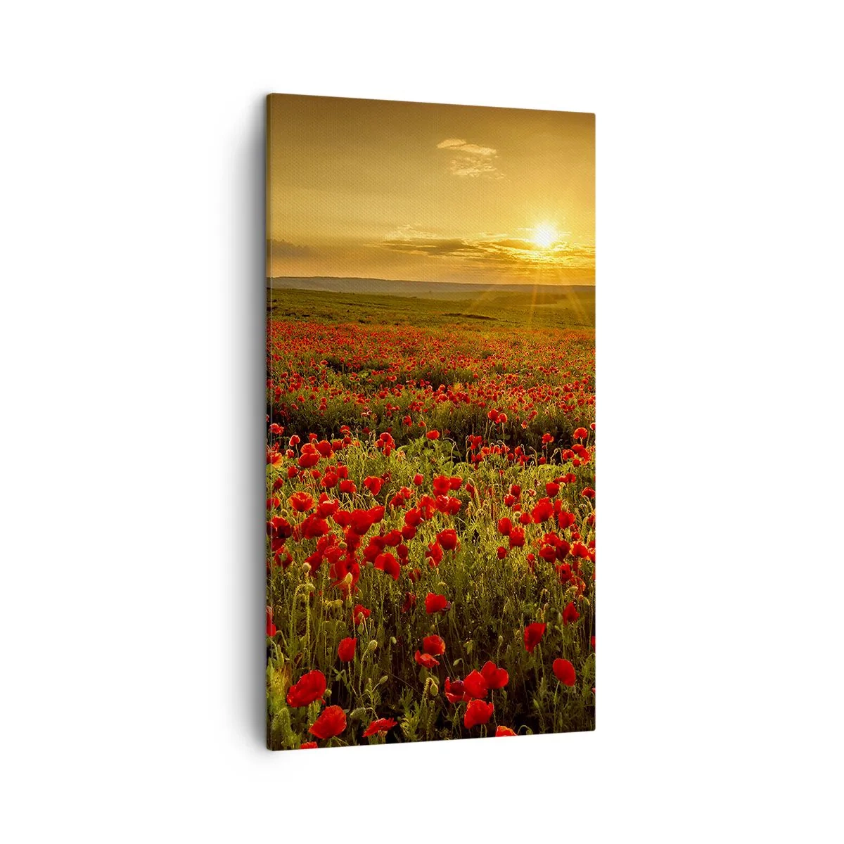 Obraz na płótnie - Wśród fali łąk szumiących, wśród kwiatów powodzi - 45x80 cm
