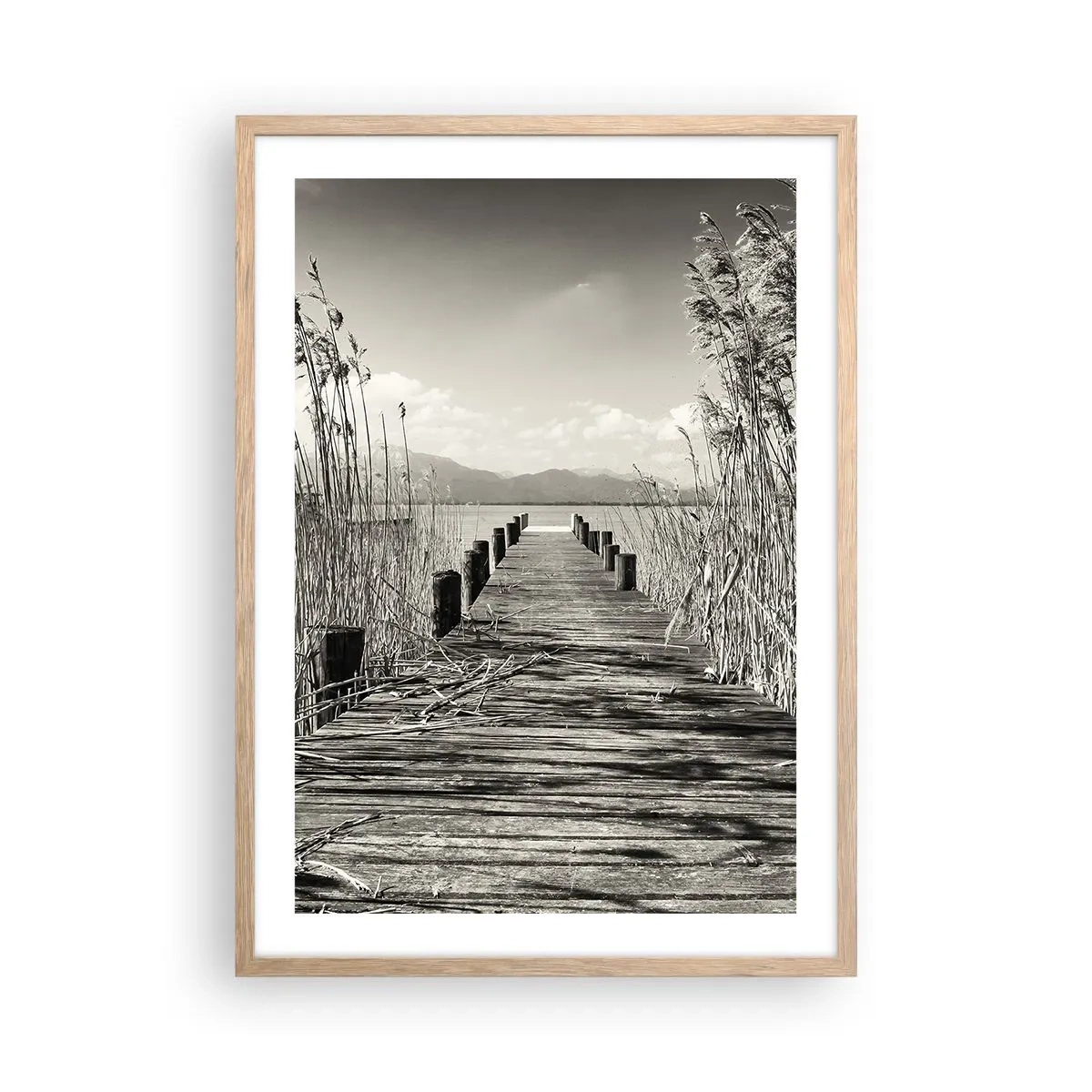 Plakat w ramie jasny dąb - W zaciszu traw - 50x70 cm