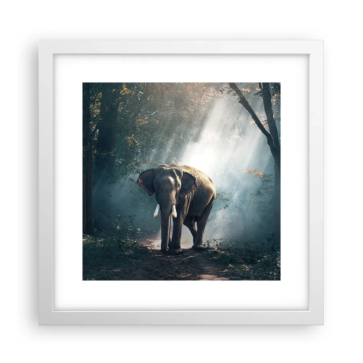 Plakat w białej ramie - Spokojna przechadzka - 30x30 cm