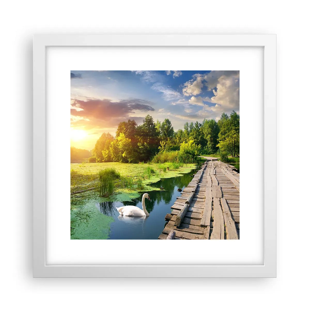 Plakat w białej ramie - Lato, lato wszędzie - 30x30 cm