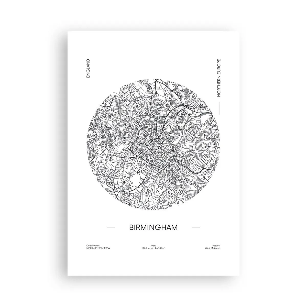 Plakat - Anatomia Birmingham - 70x100 cm