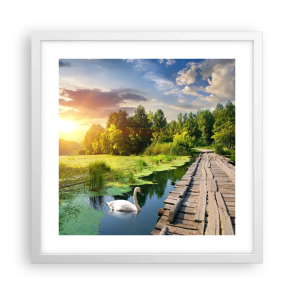 Plakat w białej ramie - Lato, lato wszędzie - 40x40 cm