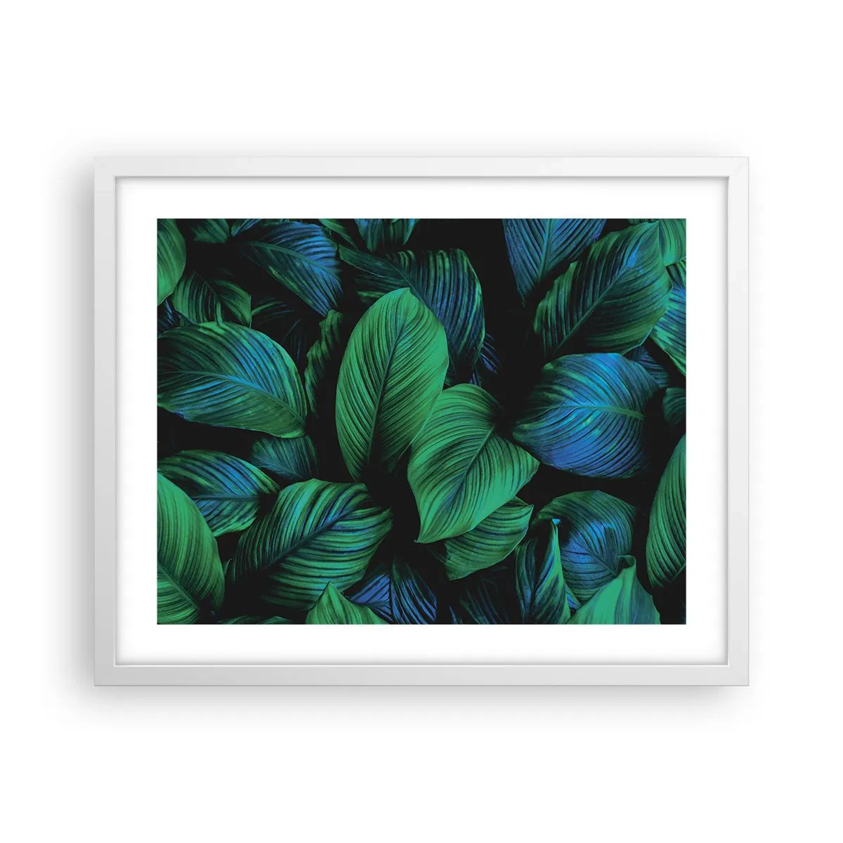 Plakat w białej ramie - W zielonym tłumie - 50x40 cm