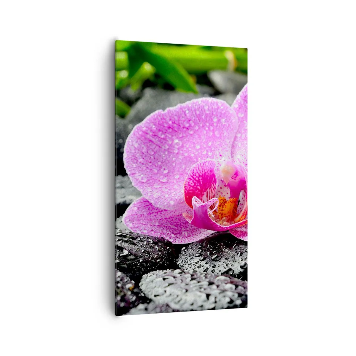 Obraz na płótnie - Jak otwarte serce - 65x120 cm