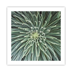 Plakat - Narodziny gwiazdy - 50x50 cm