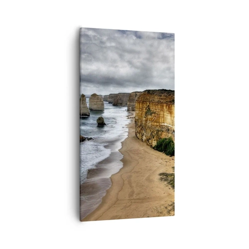 Obraz na płótnie - Surowe piękno - 55x100 cm