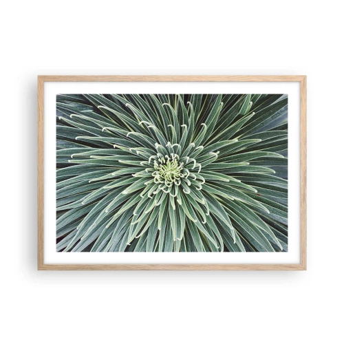 Plakat w ramie jasny dąb - Narodziny gwiazdy - 70x50 cm
