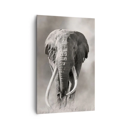 Obraz na płótnie - Monochromatyczny portret majestatycznego słonia afrykańskiego na sawannie - 80x120cm - Afrykański patriarcha - Nowoczesna dekoracja ścienna do salonu i sypialni ARTTOR