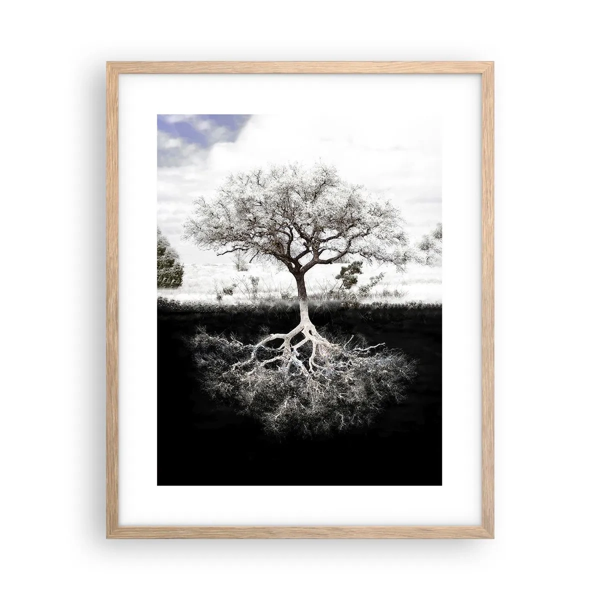 Plakat w ramie jasny dąb - Odkrycie natury świata - 40x50 cm